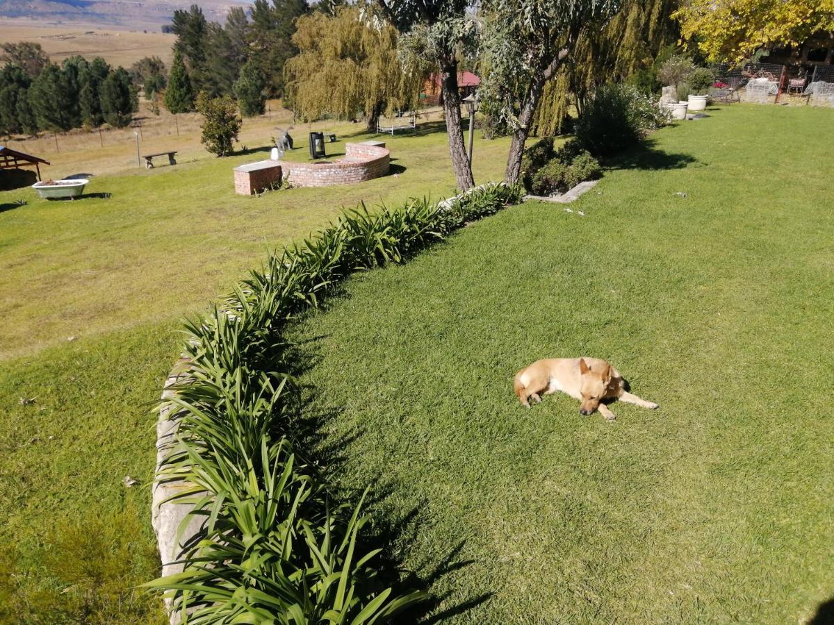 Готель The Fat Mulberry Guest Farm Фоурісбург Екстер'єр фото